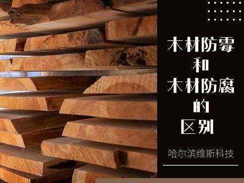 木材防霉與木材防腐的區(qū)別 木材防腐劑的作用解析