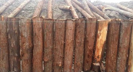 江蘇綠化杉木樁與俊鵬木樁 綠色生態(tài)中的防腐之道